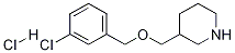 3-{[(3-Chlorobenzyl)oxy]methyl}piperidinehydrochloride Structure