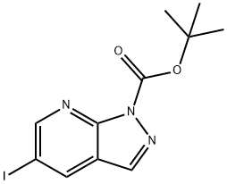 tert-Butyl 5-iodo-1H-pyrazolo[3,4-b]pyridine-1-carboxylate Structure