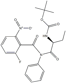 (S)-([1-(2-fluoro-6-nitro-benzoyl)-phenyl-aMinocarbonyl]-propyl)-carbaMic acid tert-butyl ester