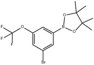 3-Bromo-5-(trifluoromethoxy)phenylboronic acid pinacol ester Structure