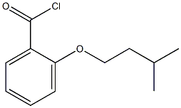 2-iso-Pentoxybenzoyl chloride Structure
