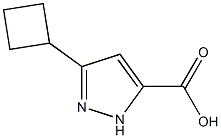 3-cyclobutyl-1H-pyrazole-5-carboxylic acid Structure