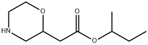 sec-butyl 2-(morpholin-2-yl)acetate Structure