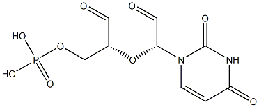 UMP dialdehyde Structure