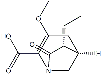 1-Azabicyclo[3.2.1]oct-2-ene-2-carboxylicacid,6-ethyl-3-methoxy-7-oxo-,(1R,5S,6S)-rel-(9CI) Structure