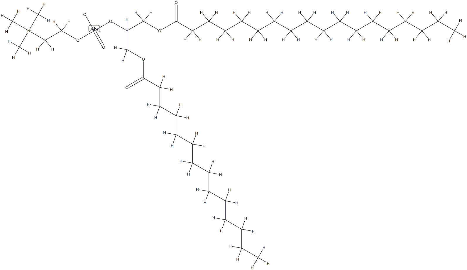 1-stearoyl-3-myristoyl-glycero-2-phosphocholine Structure