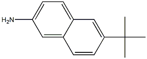 2-Naphthalenamine,6-(1,1-dimethylethyl)-(9CI) Structure
