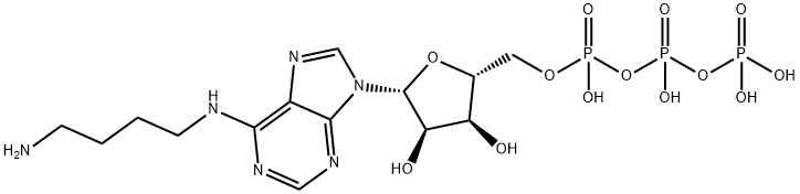 Adenosine 5'-(tetrahydrogen triphosphate), N-(4-aminobutyl)- Structure