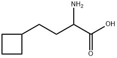 2-Amino-4-cyclobutylbutanoic acid Structure