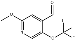 2-Methoxy-5-(trifluoromethoxy)pyridine-4-carboxaldehyde Structure