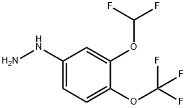 1-(3-(Difluoromethoxy)-4-(trifluoromethoxy)phenyl)hydrazine Structure