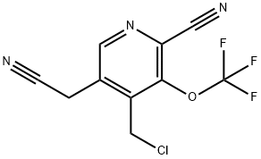 4-(Chloromethyl)-2-cyano-3-(trifluoromethoxy)pyridine-5-acetonitrile Structure