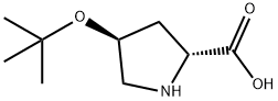 D-Proline, 4-(1,1-dimethylethoxy)-, (4S)- Structure