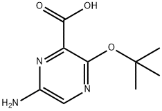 2-Pyrazinecarboxylic acid, 6-amino-3-(1,1-dimethylethoxy)- Structure