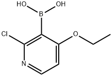 B-(2-Chloro-4-ethoxy-3-pyridinyl)boronic acid Structure