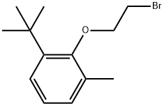 2-(2-Bromoethoxy)-1-(1,1-dimethylethyl)-3-methylbenzene Structure
