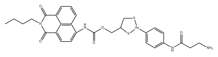 NEP Structure
