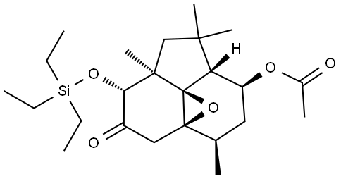 INDEX NAME NOT YET ASSIGNED Structure