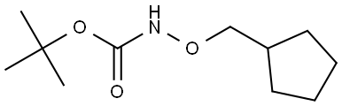 tert-butyl N-(cyclopentylmethoxy)carbamate Structure