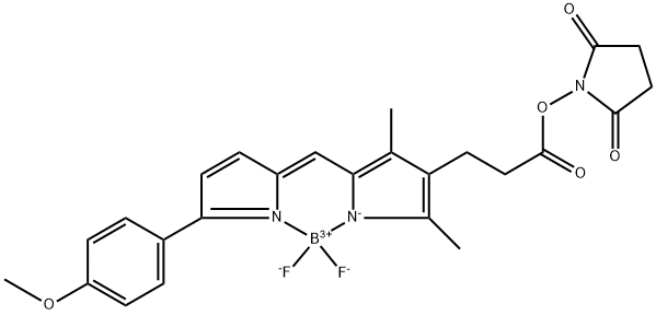 BDP TMR NHS ester Structure