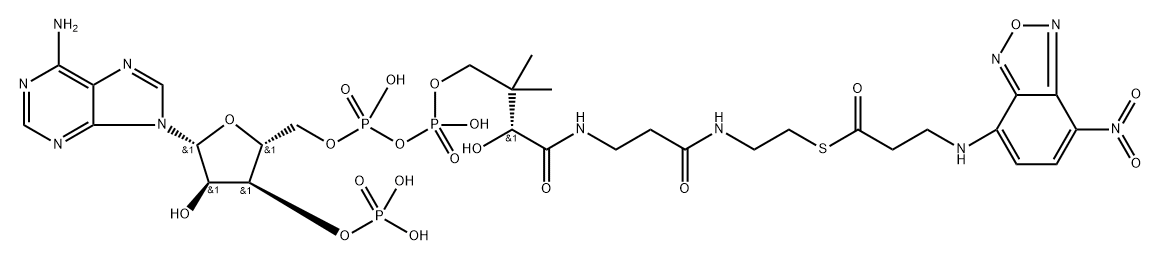 beta-(N-(7-nitro-2,1,3-benzoxadiazol-4-yl))alanyl-coenzyme A Structure