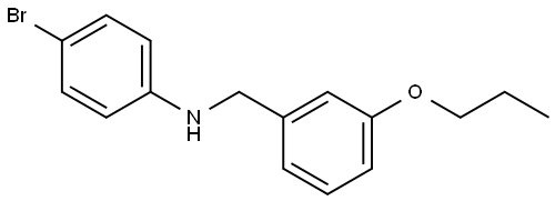 N-(4-Bromophenyl)-3-propoxybenzenemethanamine Structure
