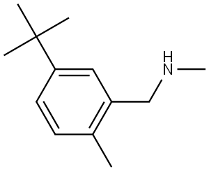 5-(1,1-Dimethylethyl)-N,2-dimethylbenzenemethanamine Structure