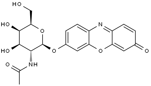 Resorufin-GalNAc Structure