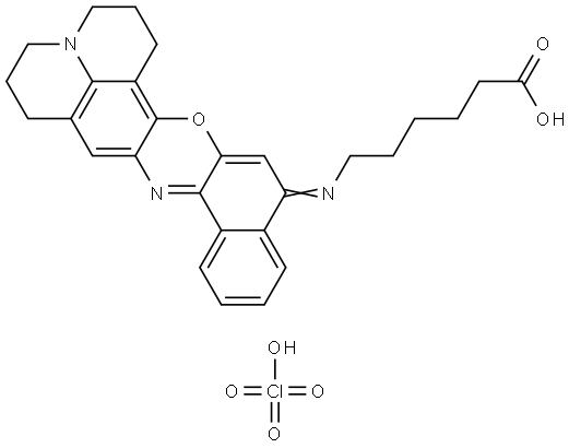 6-[[2,3,6,7-Tetrahydro-1H-benzo[a]quinolizino[1,9-hi]phenoxazin-14(5H)-ylidene]amino]hexanoic Acid Perchlorate Structure
