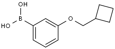 B-[3-(Cyclobutylmethoxy)phenyl]boronic acid Structure