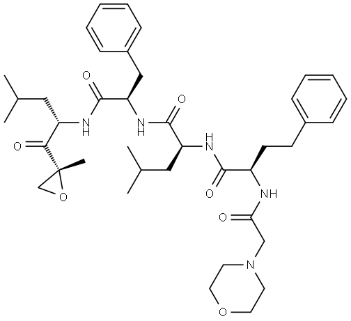 INDEX NAME NOT YET ASSIGNED Structure