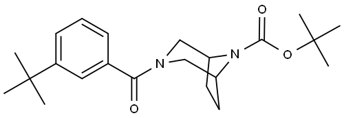 tert-Butyl 3-[3-(1,1-dimethylethyl)benzoyl]-3,8-diazabicyclo[3.2.1]octane-8-carboxylate Structure