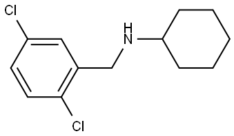 N-(2,5-dichlorobenzyl)cyclohexanamine Structure