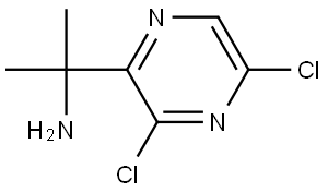 2-(3,5-dichloropyrazin-2-yl)propan-2-amine Structure