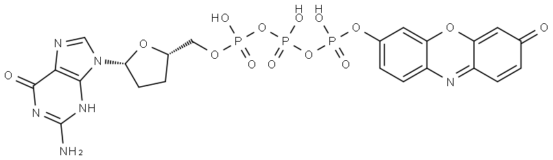 Resorufin ddGTP Structure