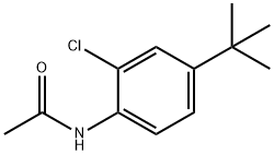 N-(4-(叔丁基)-2-氯苯基)乙酰胺