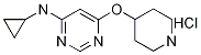 N-cyclopropyl-6-(piperidin-4-yloxy)pyriMidin-4-aMine hydrochloride, 98+% C12H19ClN4O, MW: 270.76 Structure