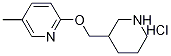 5-Methyl-2-(piperidin-3-ylMethoxy)-pyridine hydrochloride, 98+% C12H19ClN2O, MW: 242.75 Structure