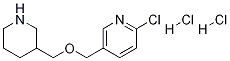 2-Chloro-5-(piperidin-3-ylmethoxymethyl)-pyridine dihydrochloride Structure