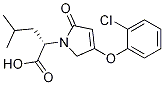 (S)-2-(4-(2-chlorophenoxy)-2-oxo-2,5-dihydro-1H-pyrrol-1-yl)-4-methylpentanoic acid Structure