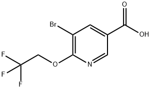 5-broMo-6-(2,2,2-trifluoroethoxy)nicotinic acid Structure