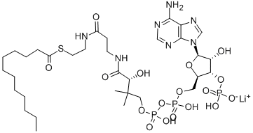 LAUROYL COENZYME A C12:0 LITHIUM SALT Structure