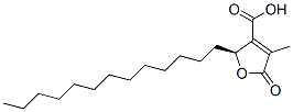(S)-2-tridecyl-2,5-dihydro-4-methyl-5-oxo-3-furoic acid Structure