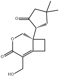 (S)-1-[(R)-4,4-Dimethyl-2-oxocyclopentyl]-5-hydroxymethyl-3-oxabicyclo[4.2.0]oct-5-en-4-one Structure