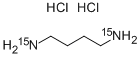 1,4-DIAMINOBUTANE-15N2 DIHYDROCHLORIDE Structure