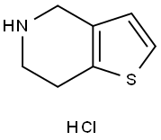 4,5,6,7-四氢噻吩[3,2-c]吡啶盐酸盐