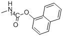 CARBARYL-NAPHTHALENE-1-14C Structure