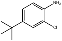 4-叔丁基-2-氯苯胺