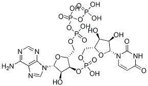 adenosine triphosphate uridine monophosphate Structure