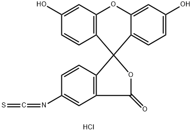 FLUORESCEIN ISOTHIOCYANATE I HYDROCHLORIDE Structure